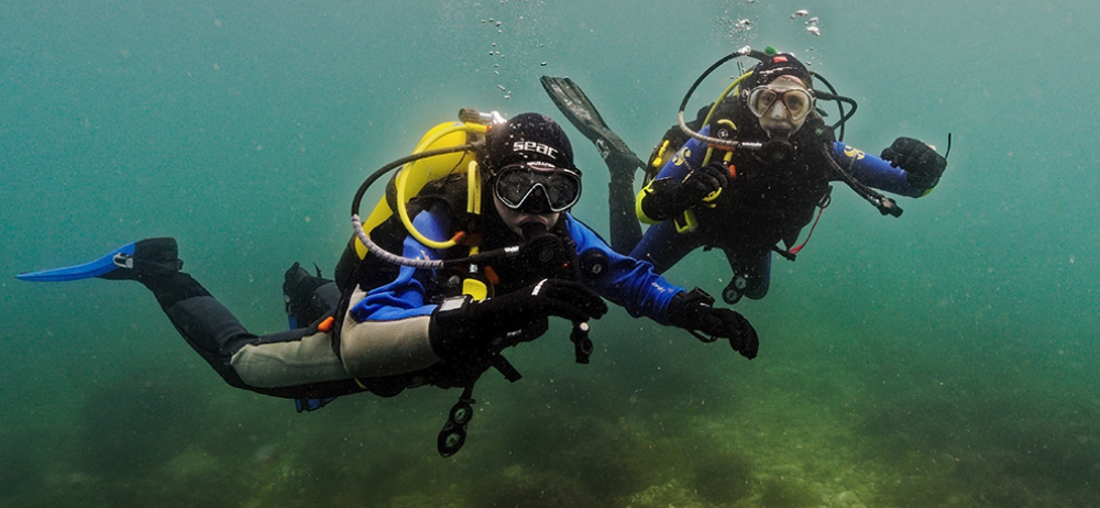 Scuba Scouts
