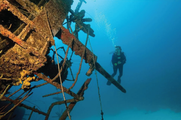 Wreck - Helma Hooker