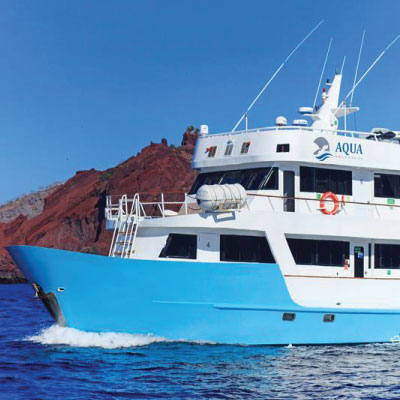 The Boat