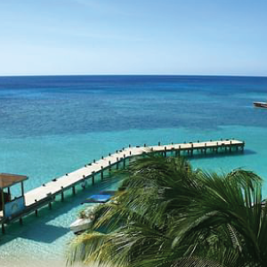 the dock